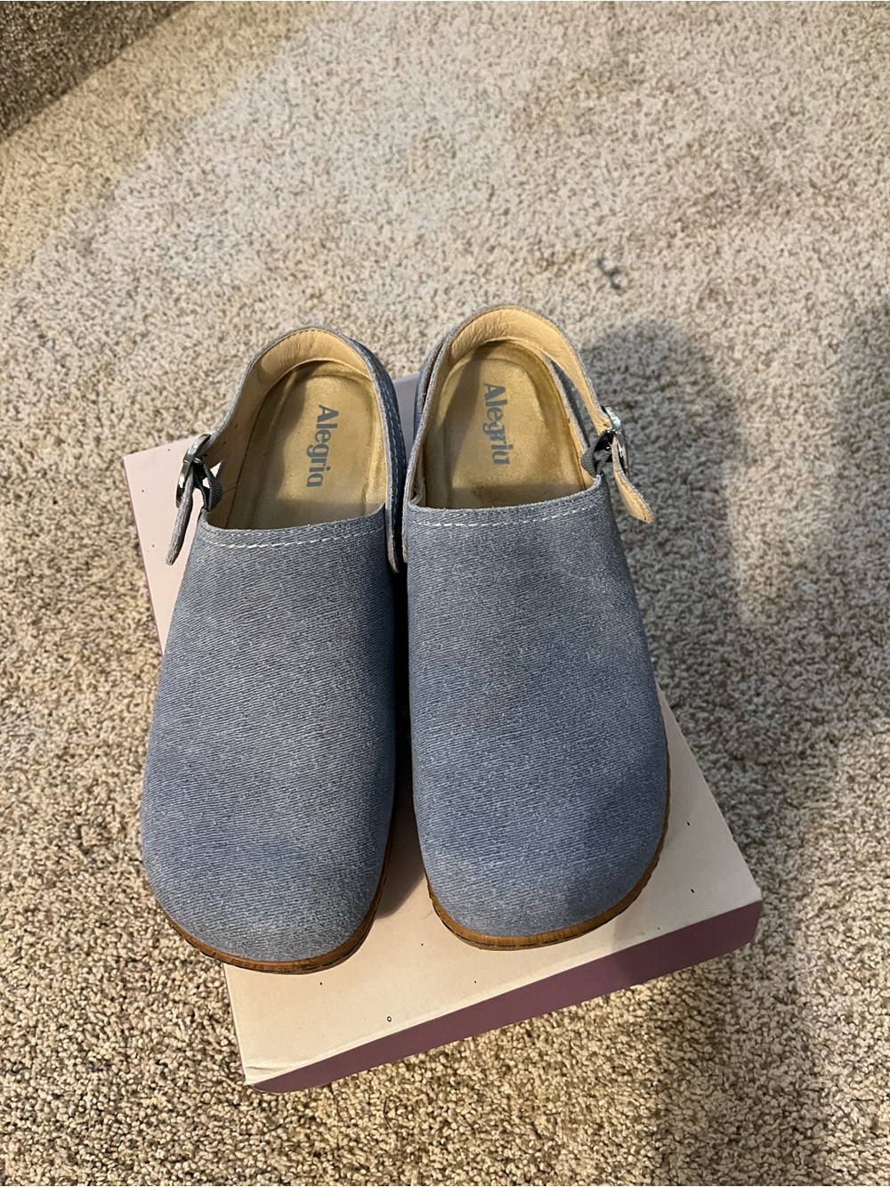 Alegria Slate Blue Suede Slip-On Clogs